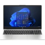 HP 250 G10 Intel Core i5 13th Gen 8GB 512GB SSD 15.6 FHD Dos Silver