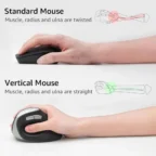 rapoo-ev250-silent-vertical-ergonomic-2-4g-wireless-optical-4 - MegaComputer.pk